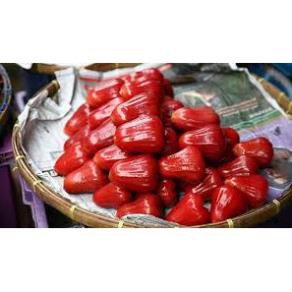 sản phẩm ROI ĐỎ THÁI KHÔNG HẠT