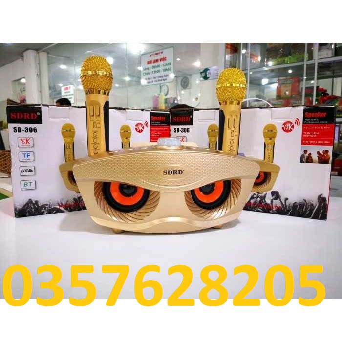 Loa Bluetooth Karaoke SDRD SD-306 - SD-306 Hát Karaoke Không Dây 2 Micro