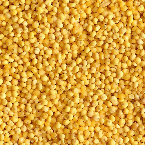 Hạt kê nếp vàng đã tách vỏ 500gr