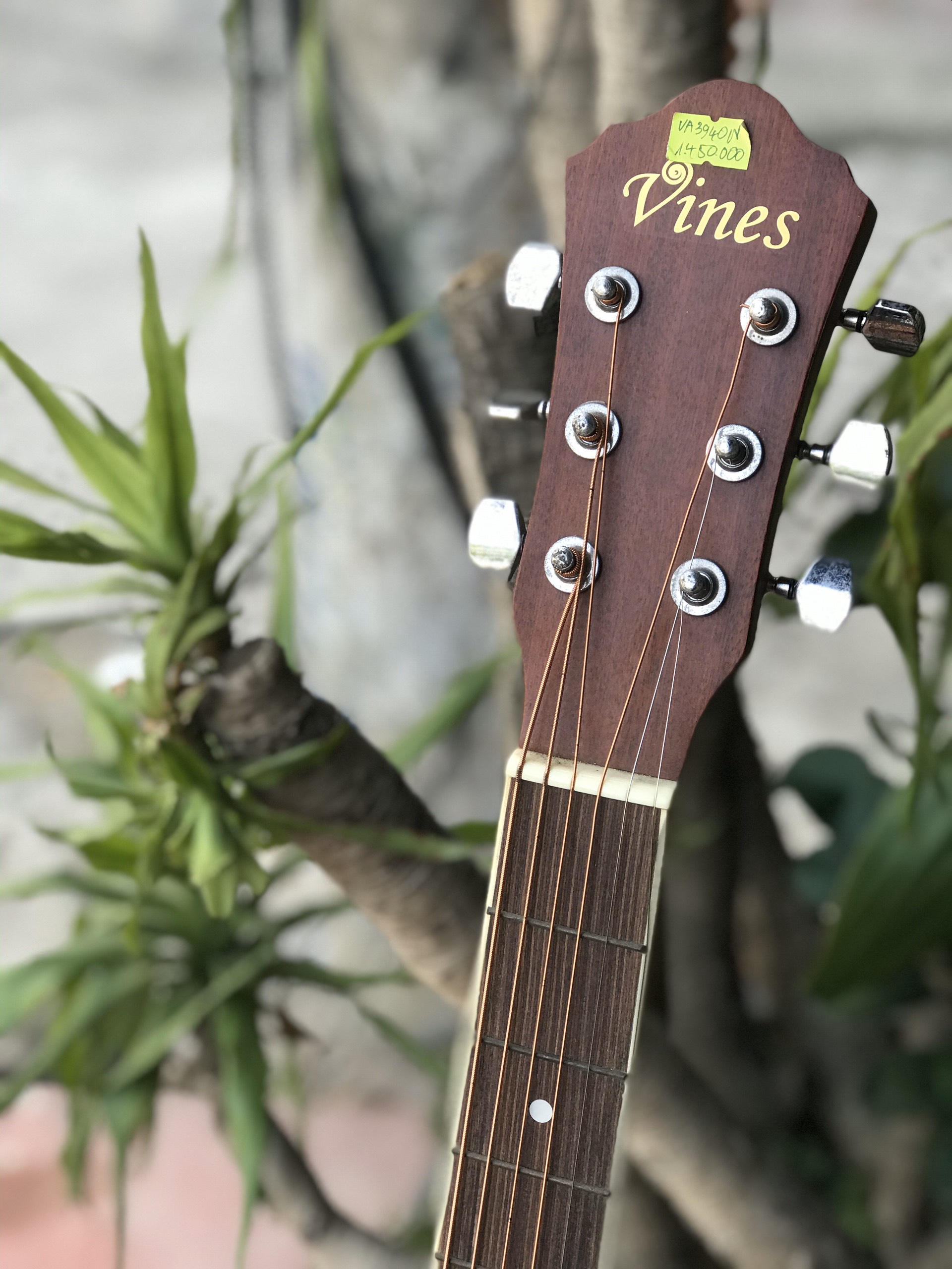 Đàn Guitar Acoustic Vines VA3940N Chính Hãng