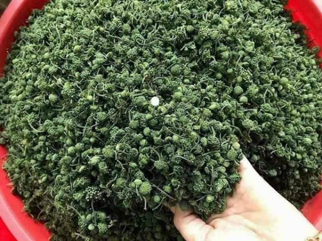 Nụ hoa Tam Thất Bắc sạch loại 1 500g