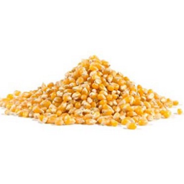 Hạt bắp nổ bóng Bob's red mill 850g