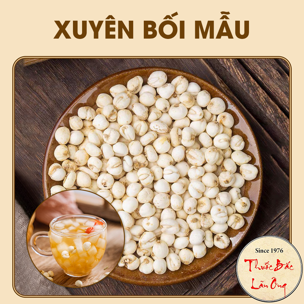 Xuyên bối mẫu 100g