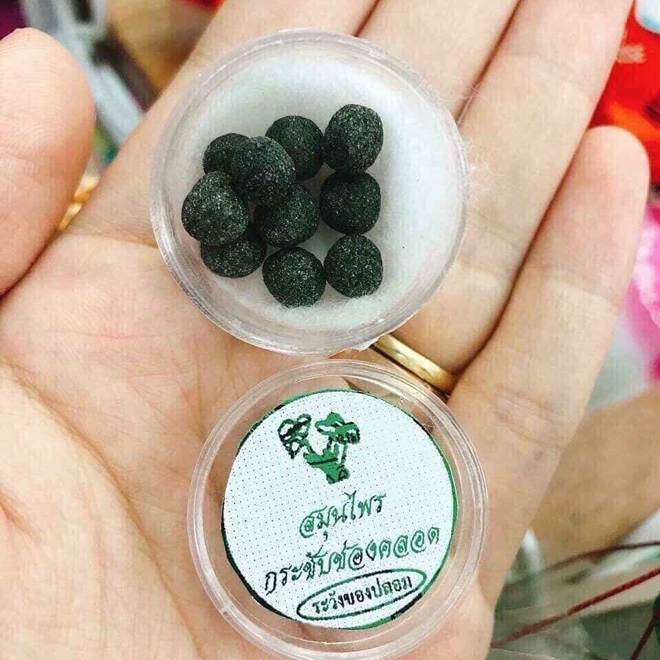 CHINH HANG vien se khit thai lan
