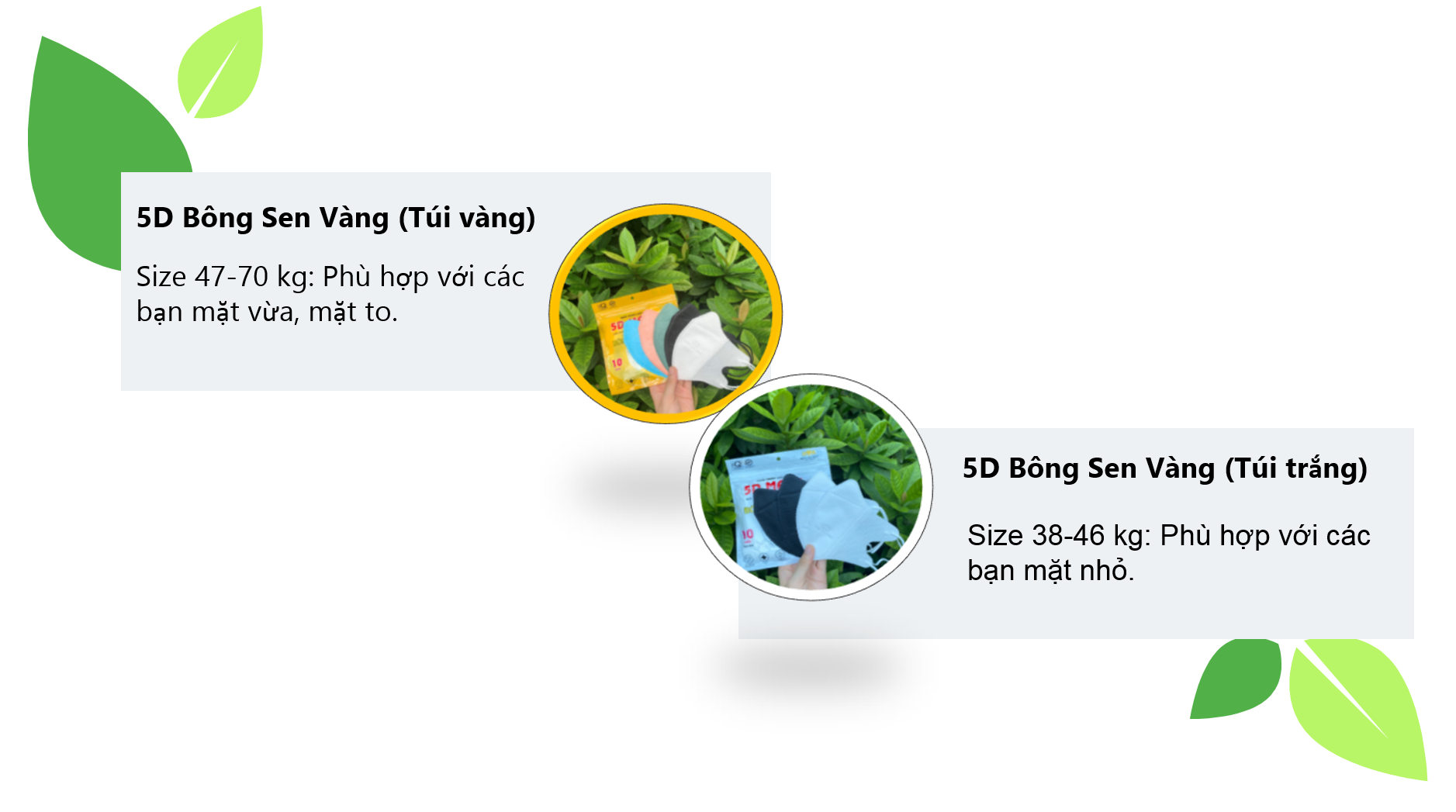 Thùng 400c Khẩu Trang 5D Bông Sen Vàng