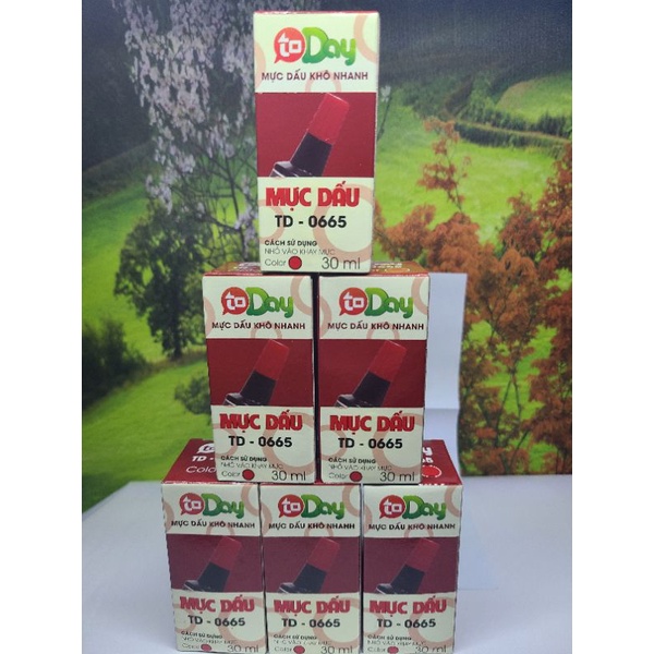 Mực Dấu Today - Mực Đổ Dấu 30 Ml / Lọ