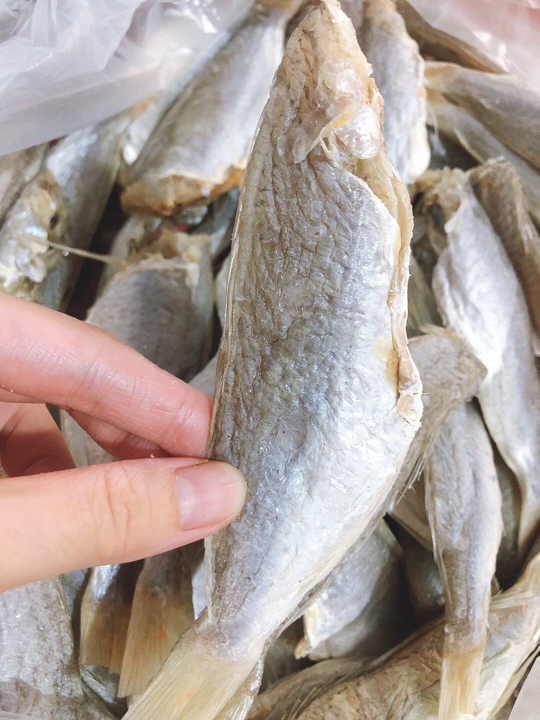 [1KG] - CÁ PHÈN HÉO/ CÁ ĐÙ KHÔ HÉO ƯỚP MẶN