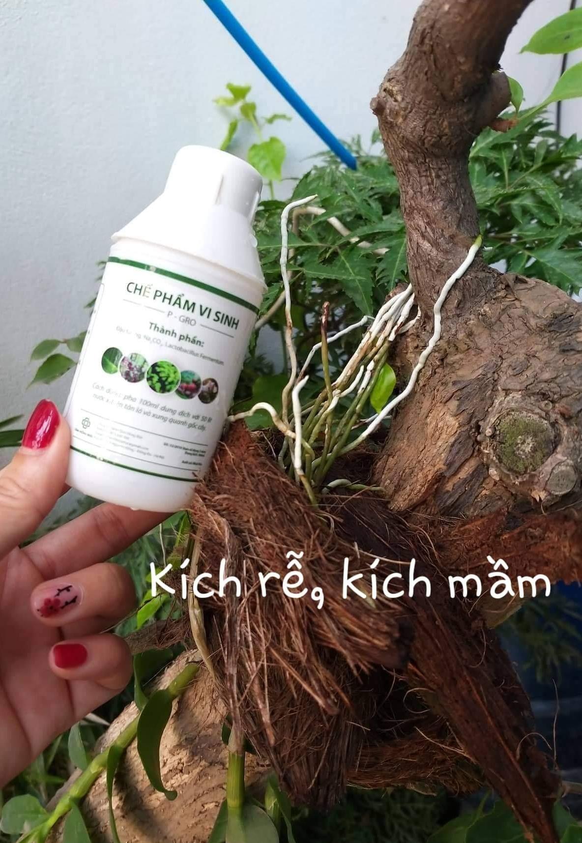 [hỗ trợ vc] 2 LỌ CHẾ PHẨM SINH HỌC P-GRO