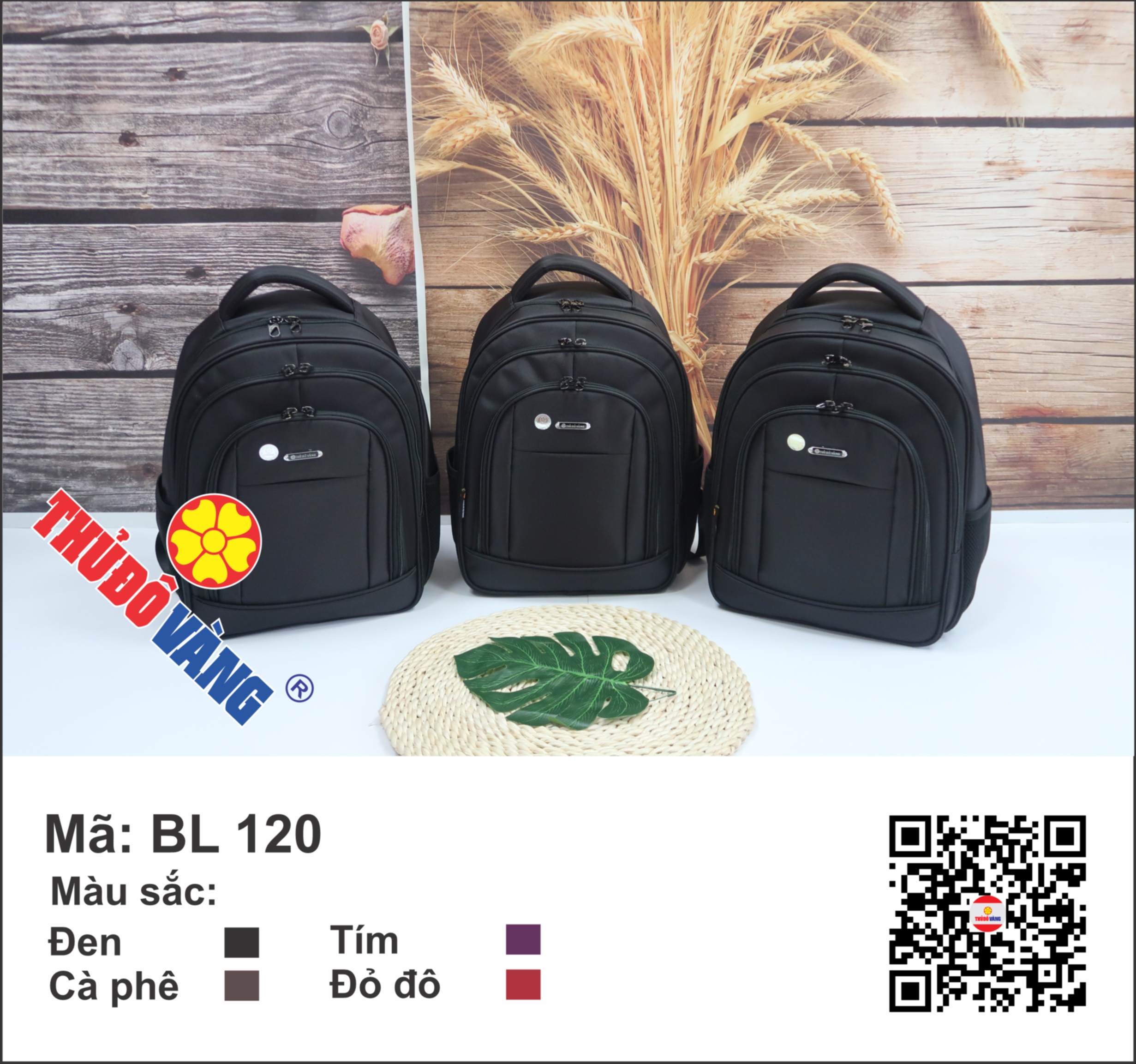 Balo du lịch thủ đô vàng