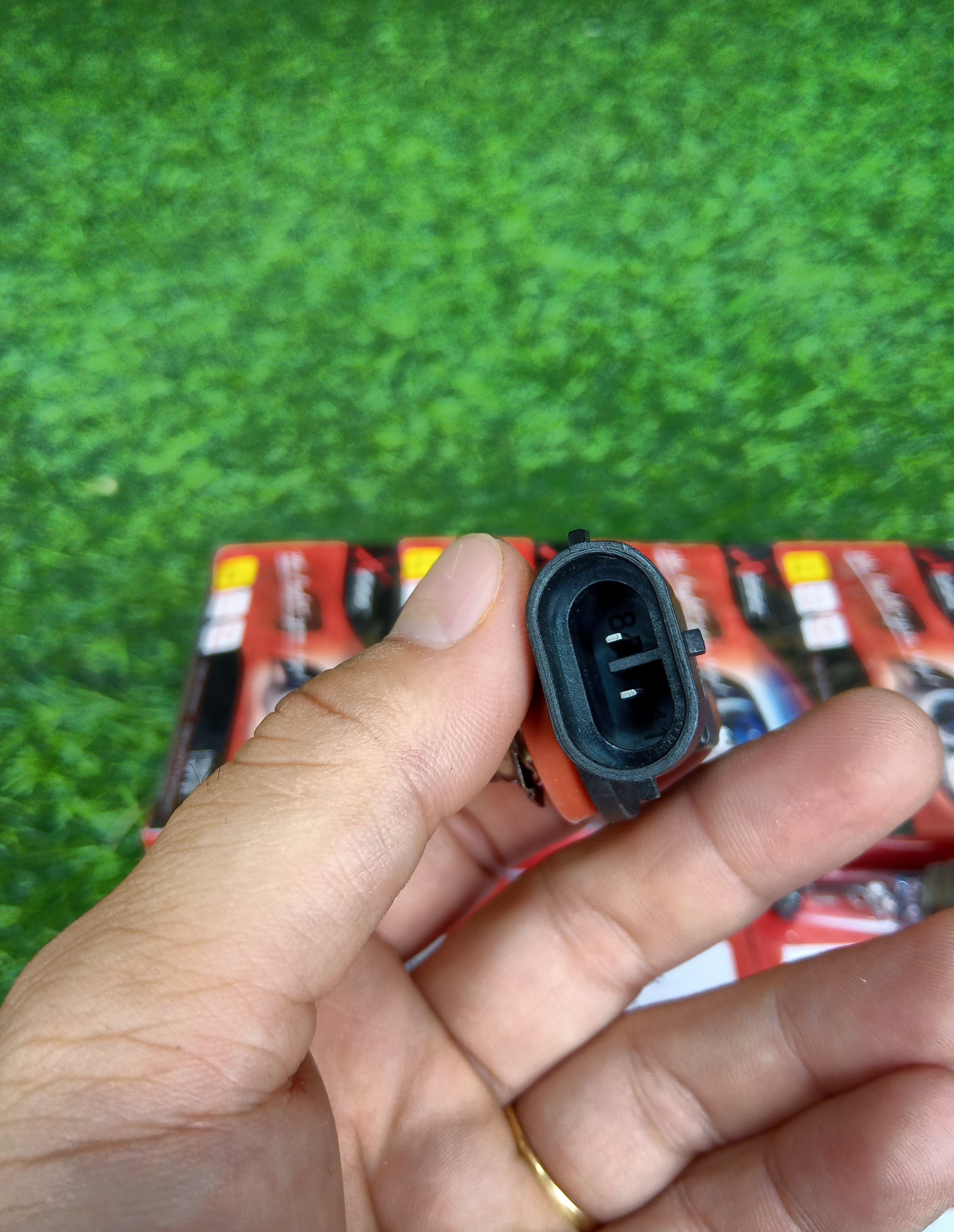 [HCM]Bóng đèn Halogen H8 12V 35W Japan