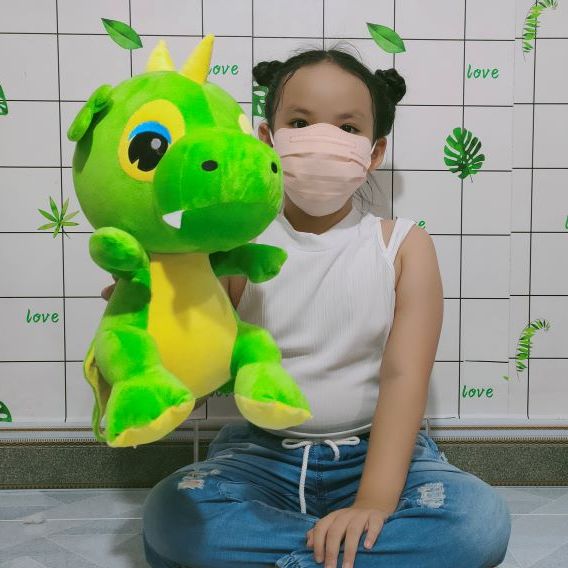 Gấu bông hình con rồng cute hoạt hình pokemon dễ thương cho bé trai