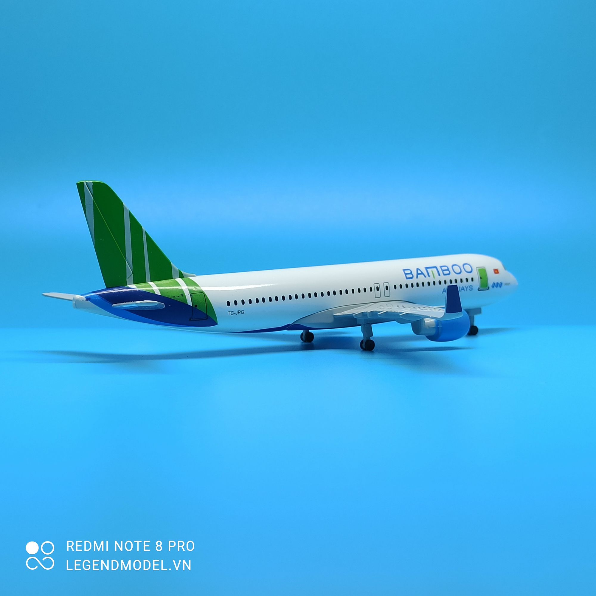 Bamboo Airways Aircraft Model