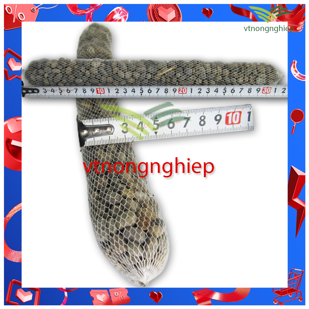 03 Túi phân dê đã qua xử lý Trichoderma dài 30cm