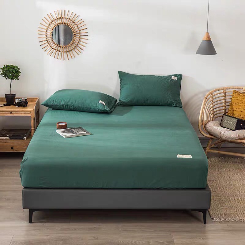 Sét ga gối cotton Tici phong cách hàn Quốc ( ga và 2 vỏ gối Tici )