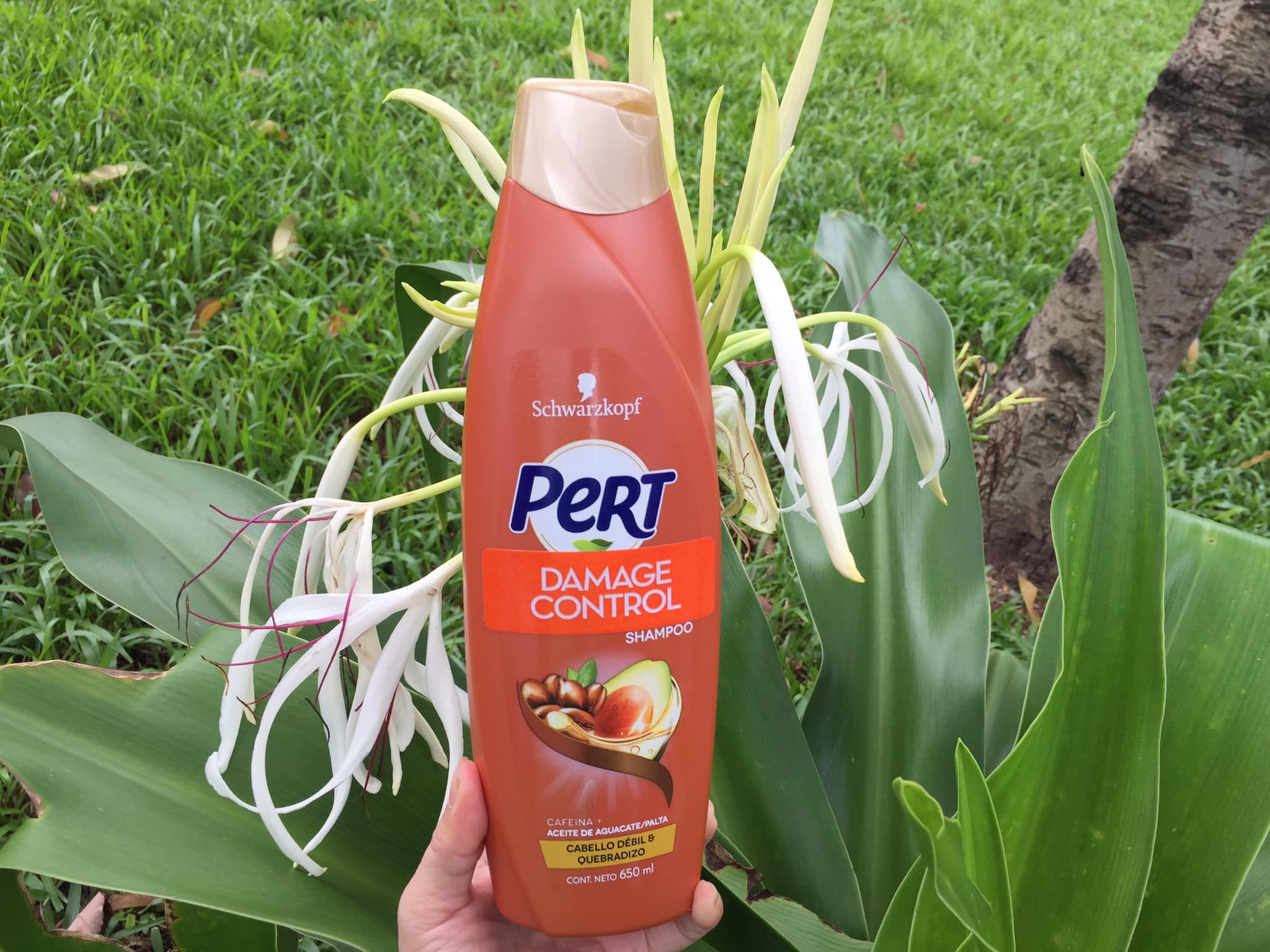 Dầu gội Pert Schwarzkopf 650 ml