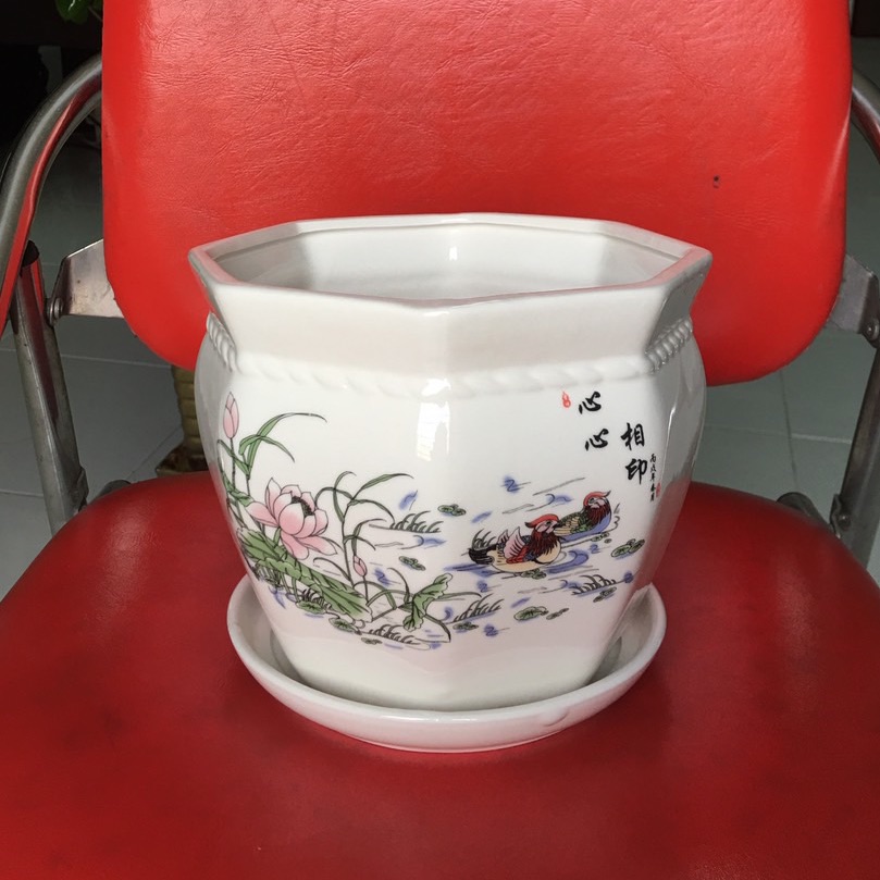 Chậu sứ hình lục giác