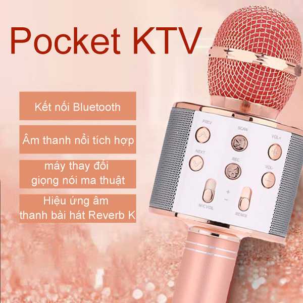 Micro hát karaoke kết nối bluetooth WS858 công nghệ mới, âm vang, kết nối với điện thoại, máy tính bảng, chức năng chuyển giọng thú vị gồm 3 màu HỒNG/BẠC/ĐEN