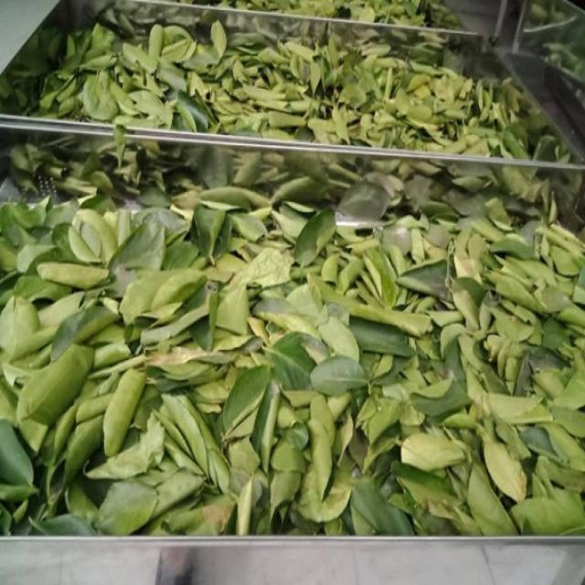 Lá chanh sấy khô 100g (thơm, sạch)