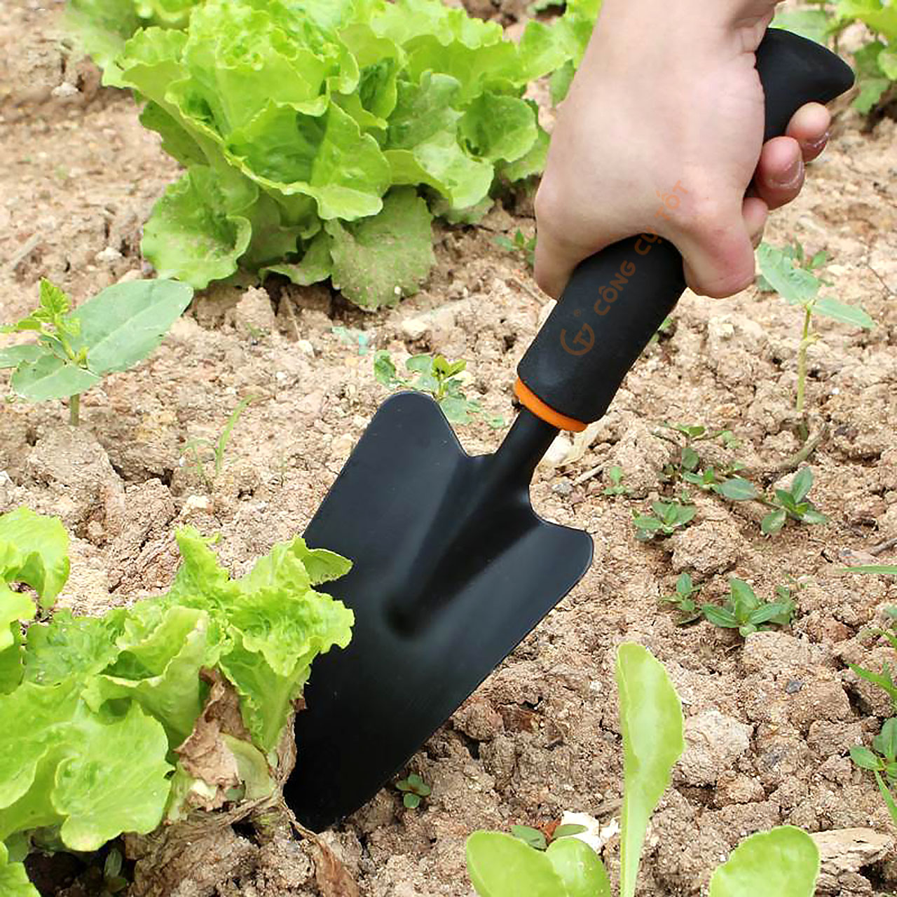 Xẻng xúc đất - xẻng nhổ cỏ trồng cây