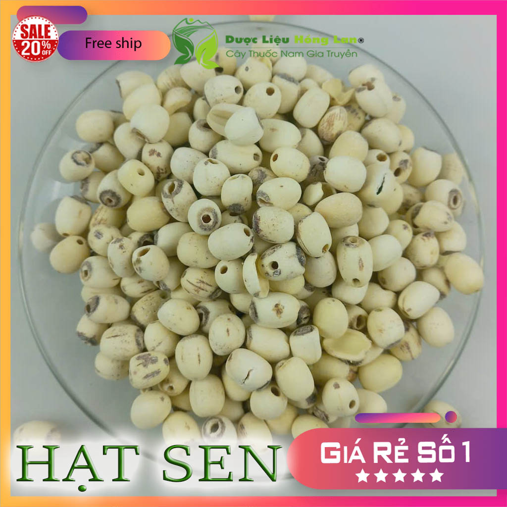 [FreeshipMAX] Hạt sen khô thượng hạng 500gr loại 1 (có hút chân không)
