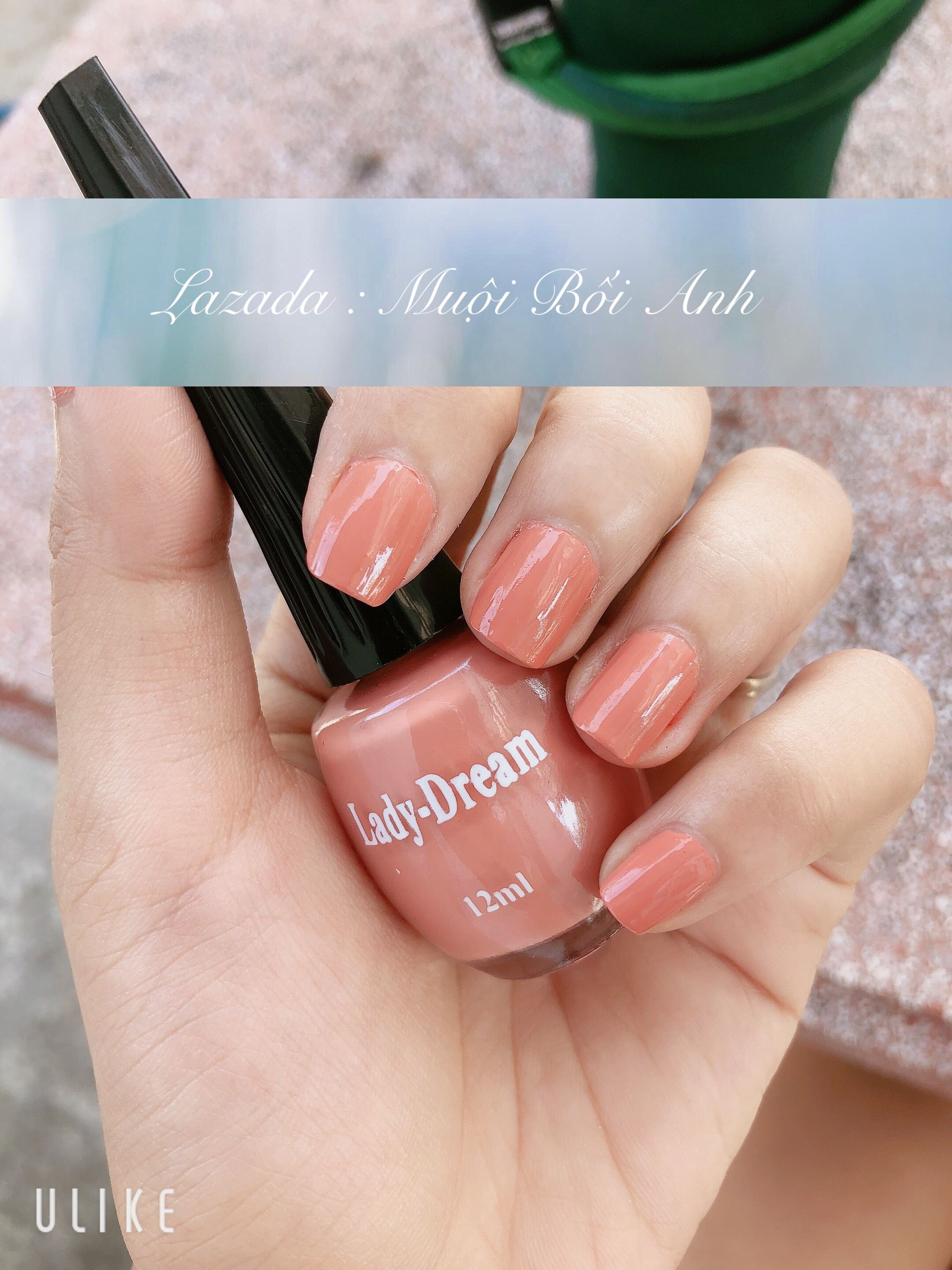 Sơn móng tay Ladydream 12ml - 268
