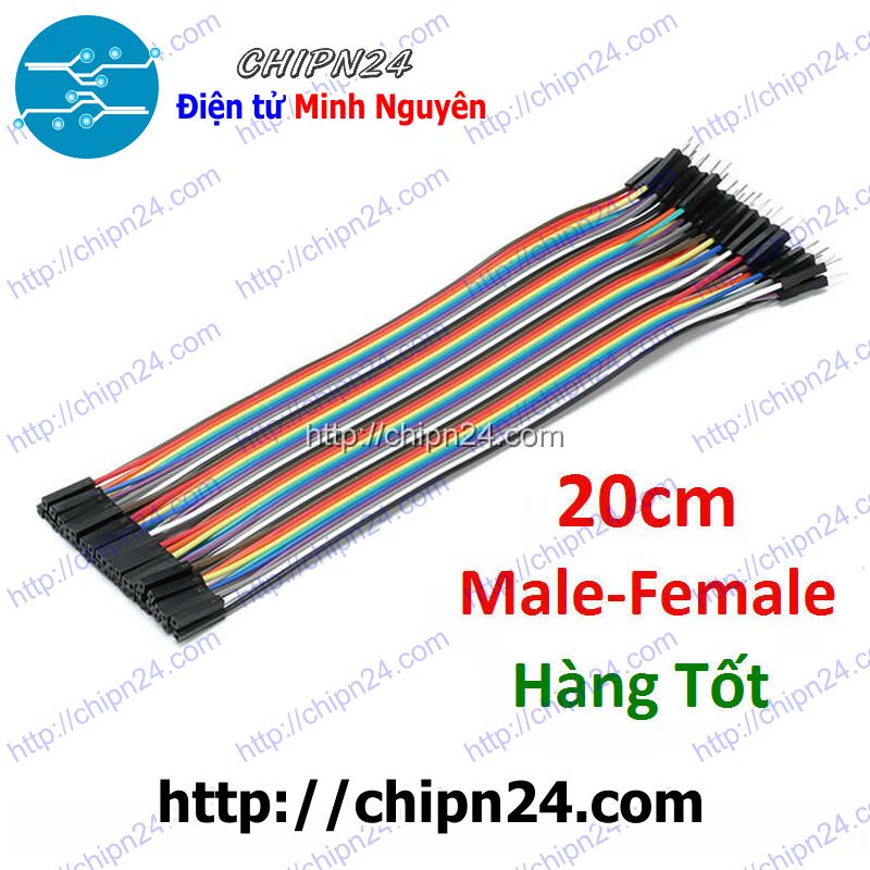 Dây cắm test board 20cm đực-cái