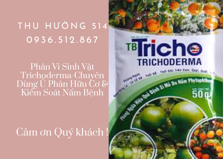 Phân Vi Sinh Vật Trichoderma-Chuyên Dùng Ủ Phân Hữu Cơ & Kiểm Soát Nấm Bệnh (50G)