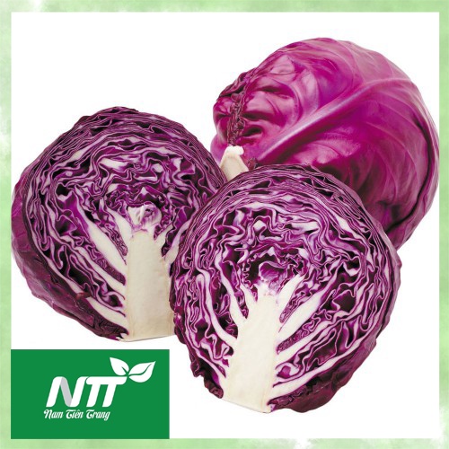 Hạt giống Bắp Cải Xanh - Bắp Cải Tím TN