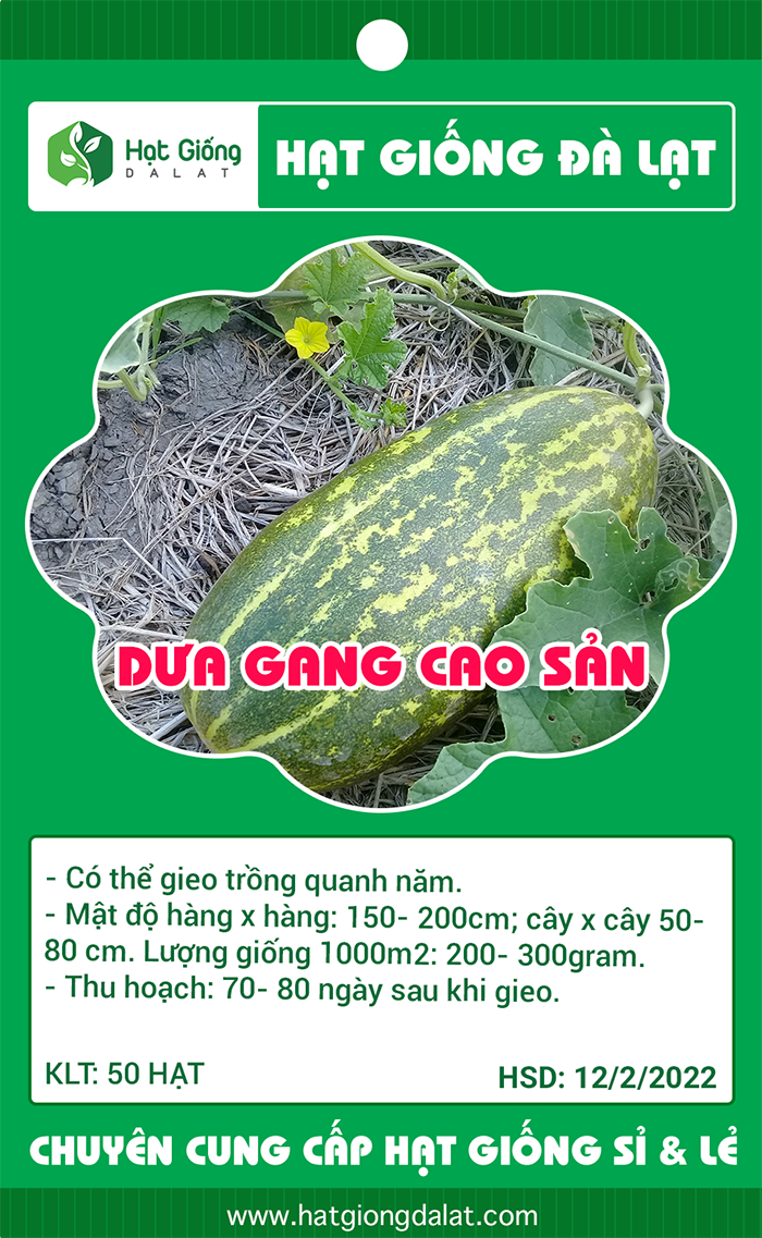Hạt Giống Dưa Gang Rd 779 Rạng Đông Gói 1Gram