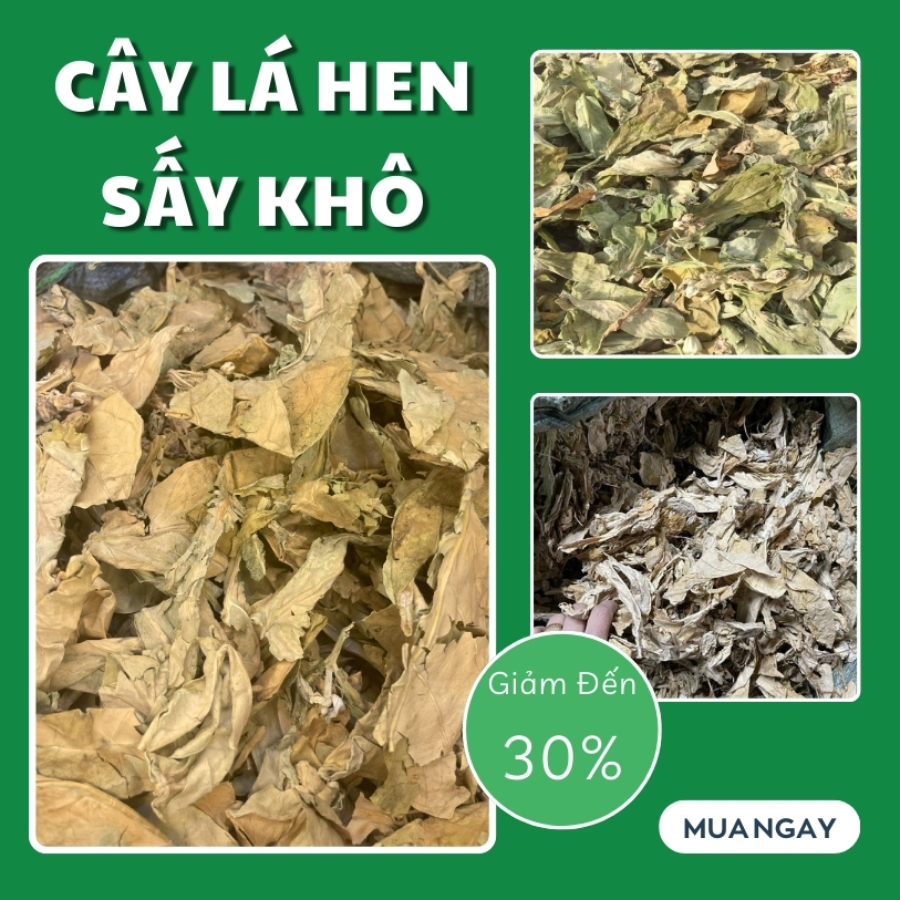 [Túi lớn 500gram] Cây lá hen khô - Hàng sạch cao cấp chuyên dùng để pha trà và sắc nước uống