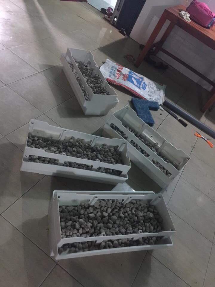BAKKI LỌC NƯỚC HỒ CÁ