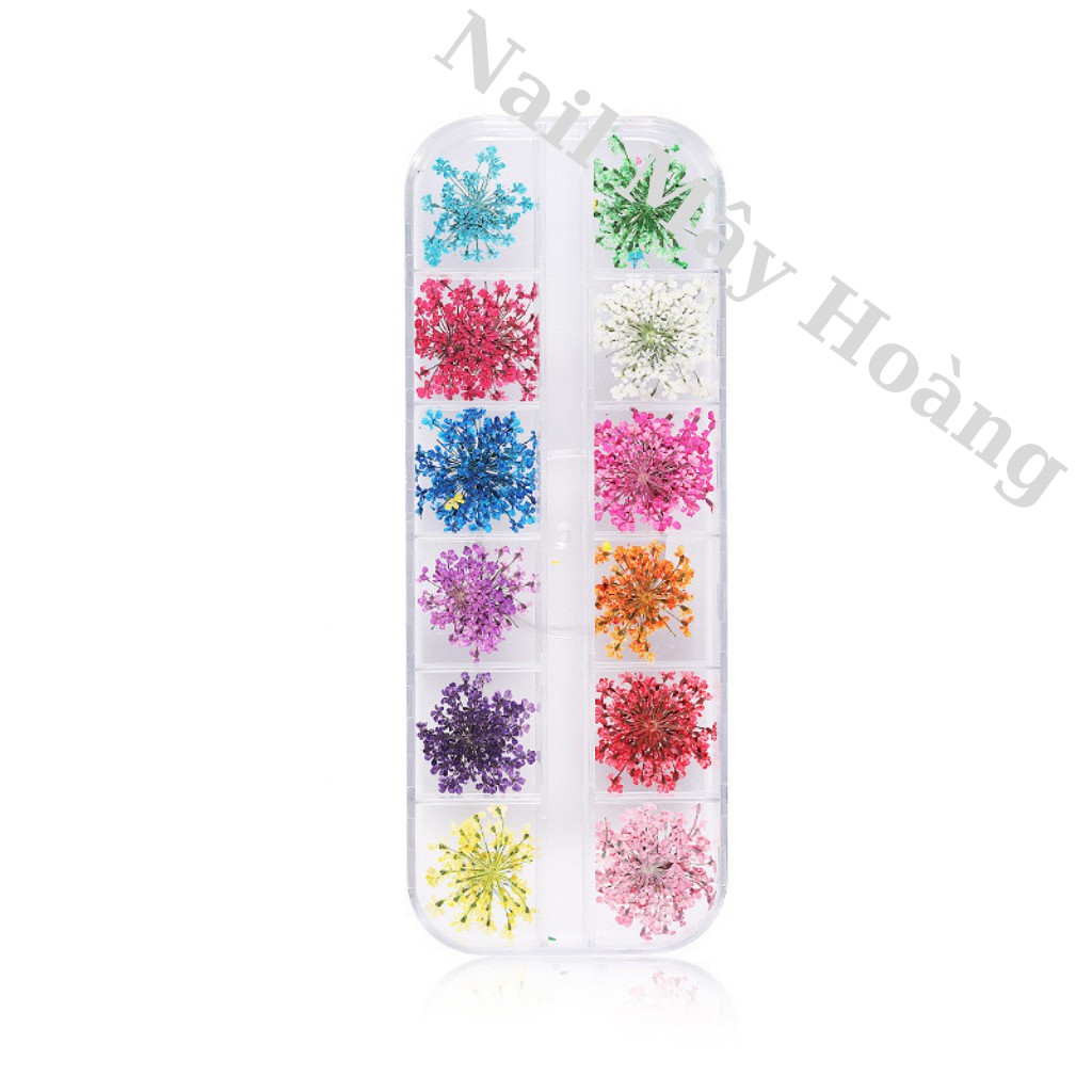 Hoa khô trang trí móng sét 12 màu