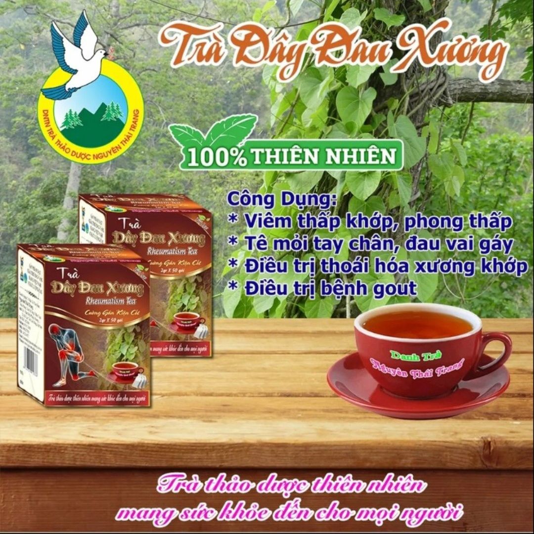 Trà dây đau xương hỗ trợ bệnh thấp khớp - nguyên thái trang – thảo dược thiên nhiên - tốt cho sức khỏe