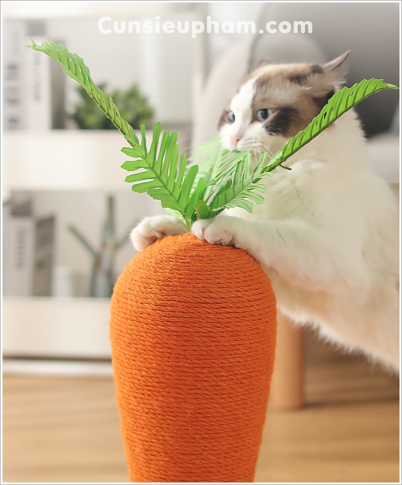 Đồ chơi cây cà rốt cào móng cho mèo