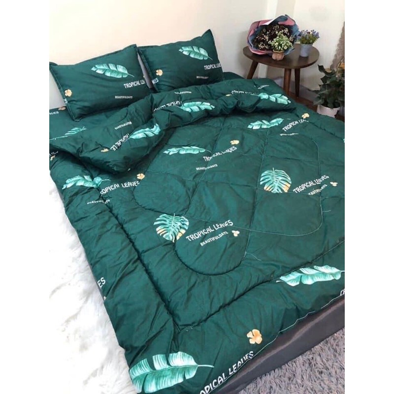 Bộ Ga Giường Cotton Poly 5 Món Chăn Phao