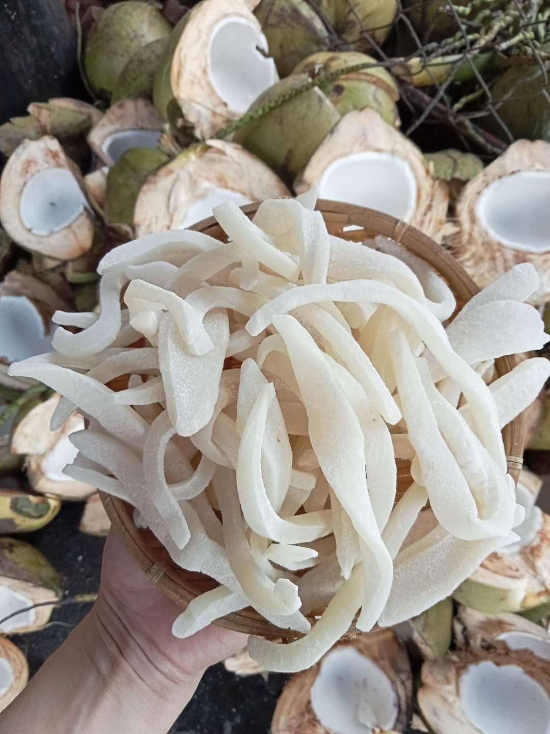 Mứt dừa non miếng Bến Tre vị truyền thống bịch 500g ( hàng đặt trước mới làm)