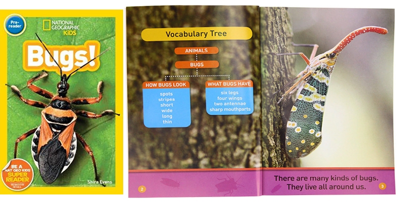National Geographic Kids - Level PREK 20 cuốn