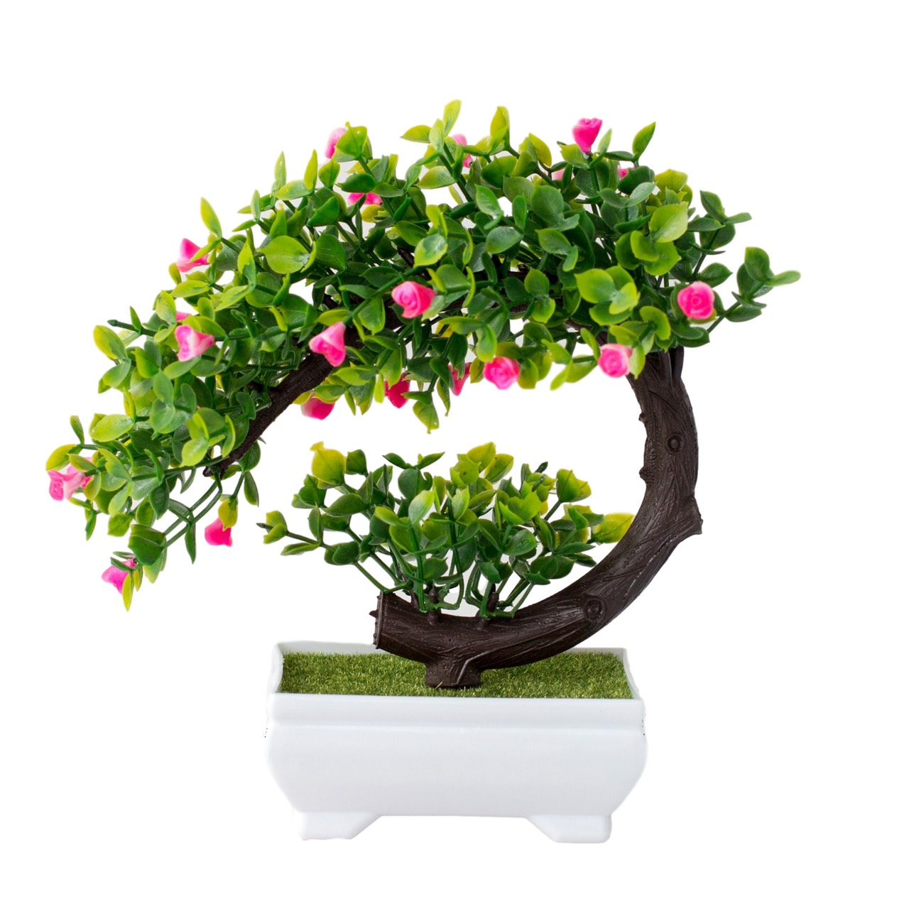 [HCM]Chậu Cây Bonsai Phú Quý - Vạn Sự Như Ý