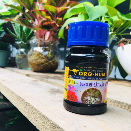 Org-hum ra rễ bật mầm 100ml