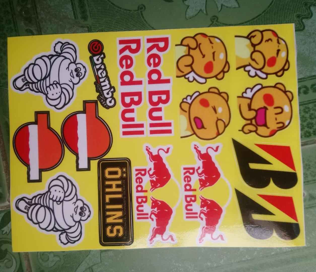 Tem logo khung longredbullmichelin....