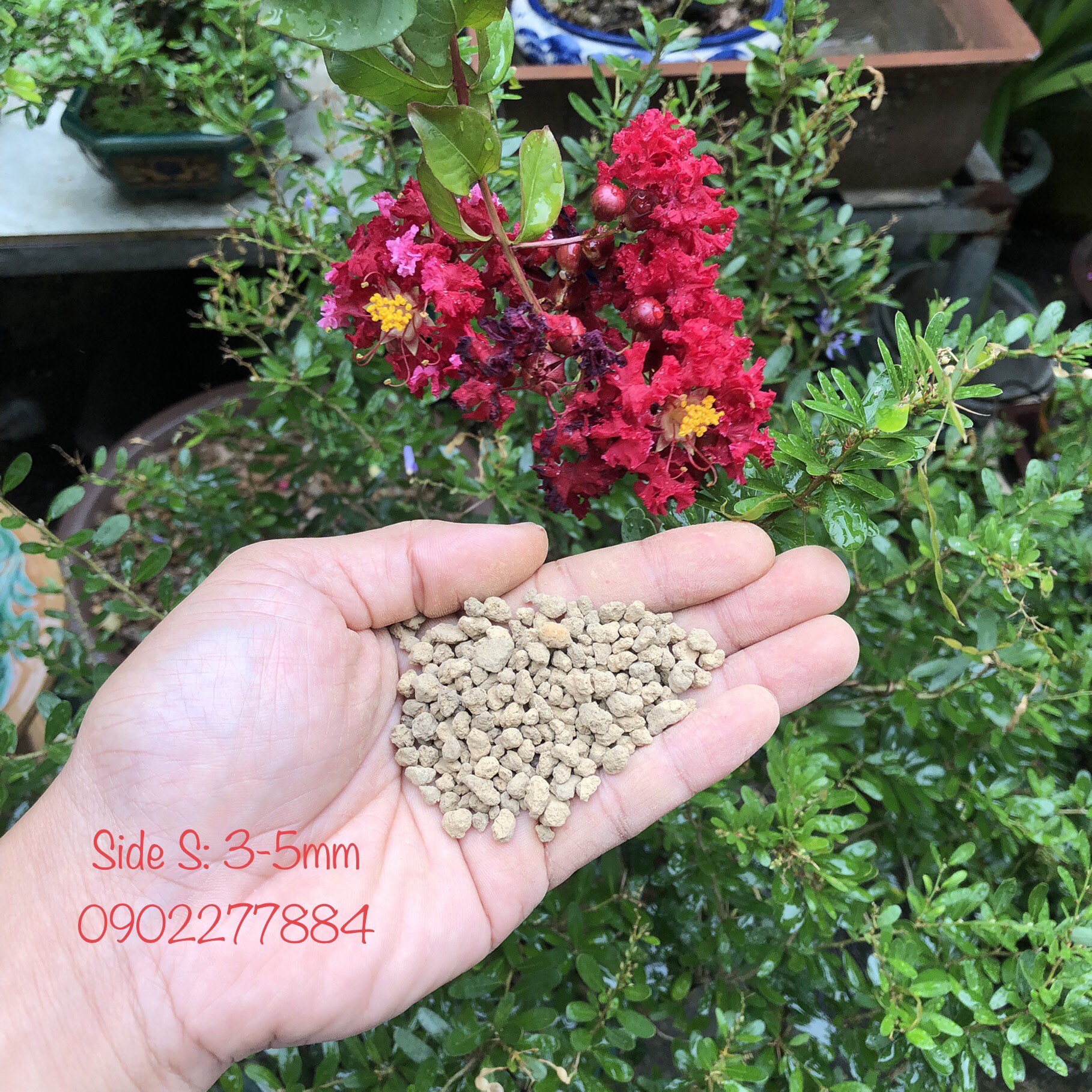 Đất Akadama Nhật Bản Super Hard đủ side Nguyên Bao 14 lít