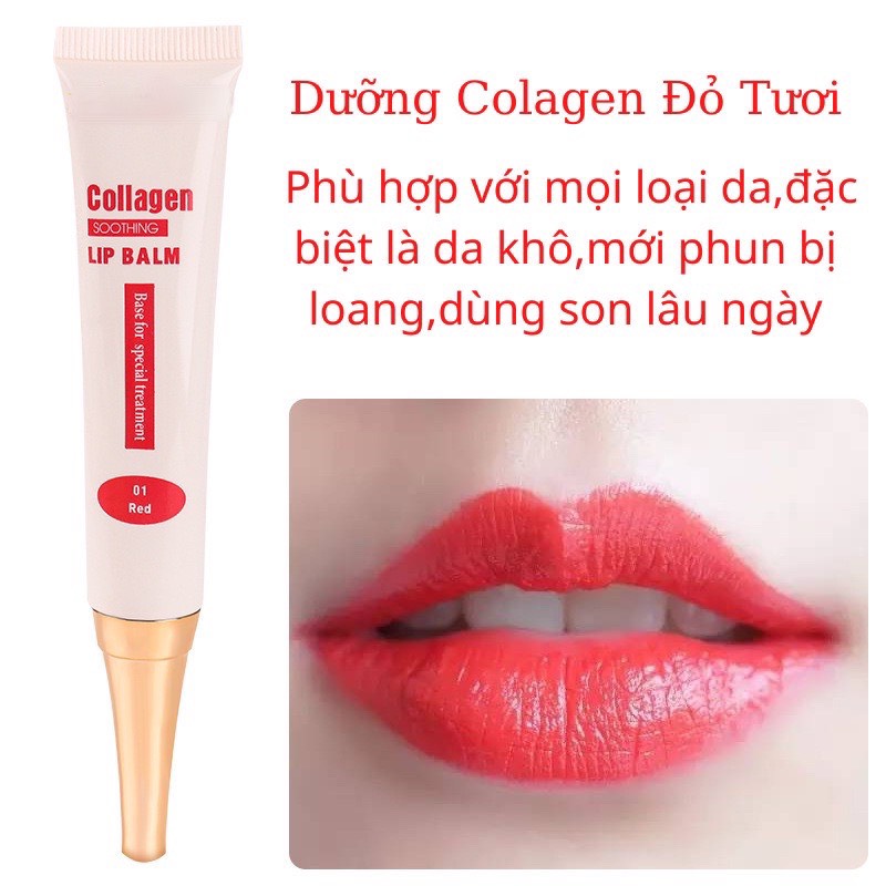 Dưỡng Collagen kích màu môi sau PX