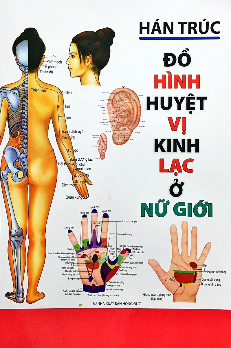 Sách - đồ hình huyệt vị kinh lạc - newshop