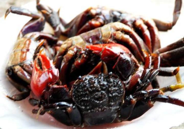 MẮM BA KHÍA NGUYÊN CON ĐẶC SẢN RẠCH GỐC BẠC LIÊU 500GR – No Brand >>> top1shop >>> lazada.vn 🛒🛍🛒