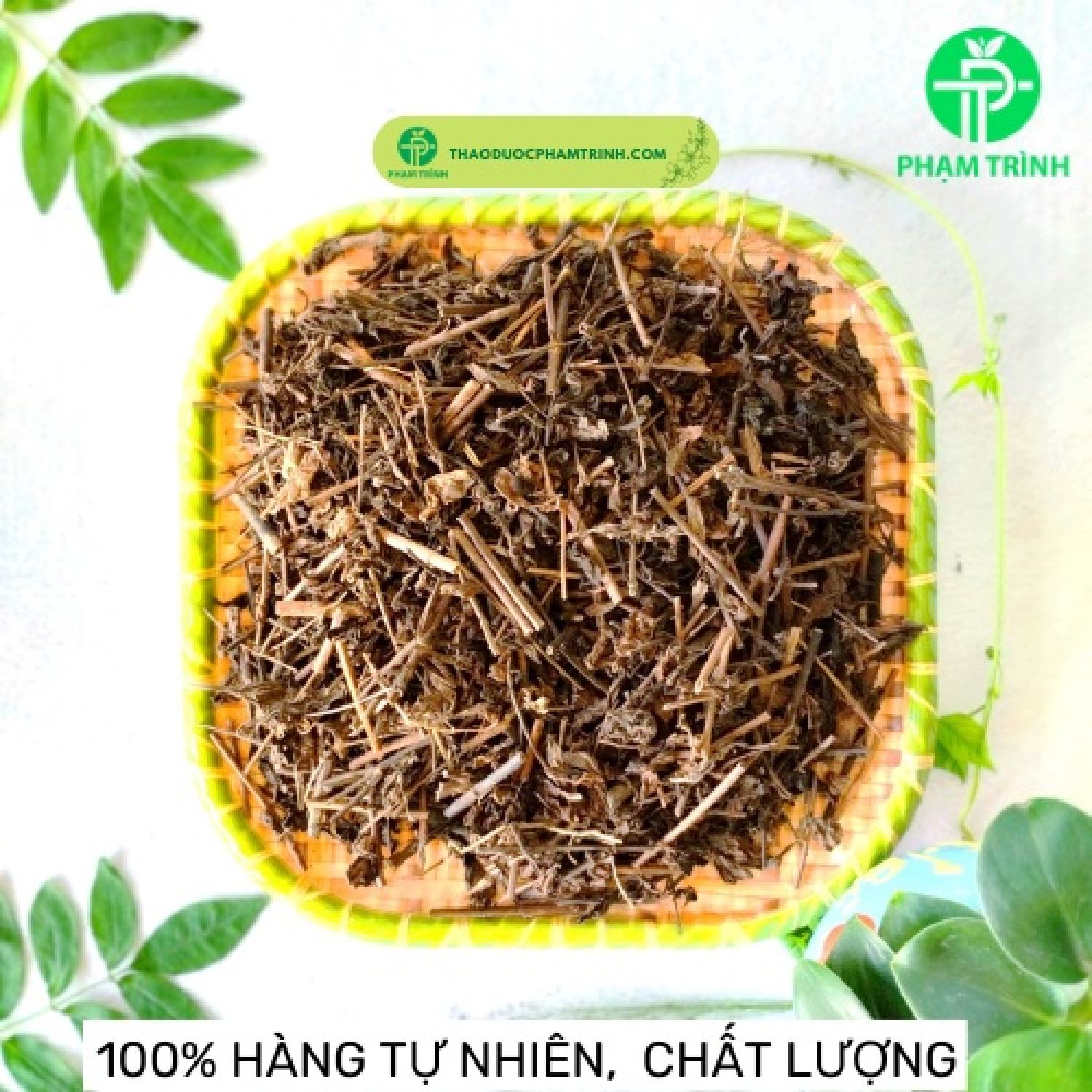 CÂY NHÂN TRẦN KHÔ - THANH NHIỆT GIẢI ĐỘC