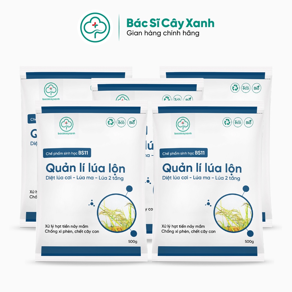 Combo 5 Gói Quản Lý Lúa Lộn Lúa Cỏ Lúa Ma BS11 500g - Chống Xì Phèn Không Ảnh Hưởng Lúa Sạ - Bác Sĩ Cây Xanh