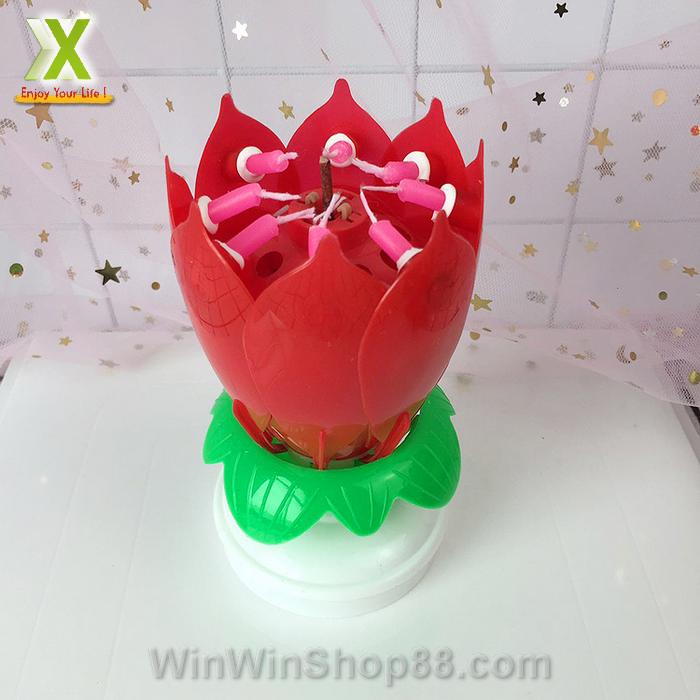 [HCM]Nến sinh nhật nở hoa và phát nhạc V.2