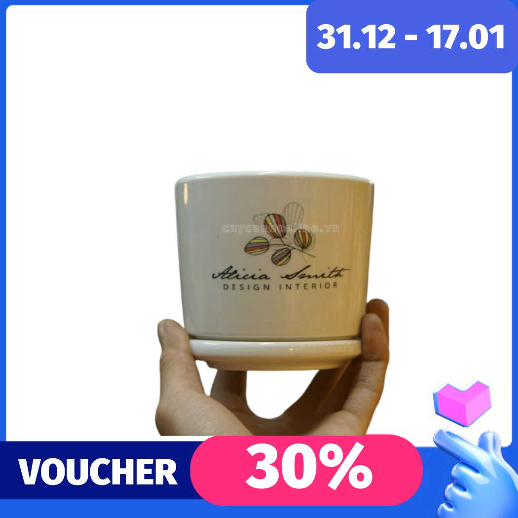 Chậu đĩa trồng cây cảnh để bàn in hình hoa văn họa tiết đẹp