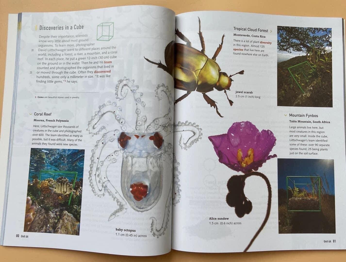 READING EXPLORER COLECTION - 2ND EDITION - SÁCH NHẬP KHẨU