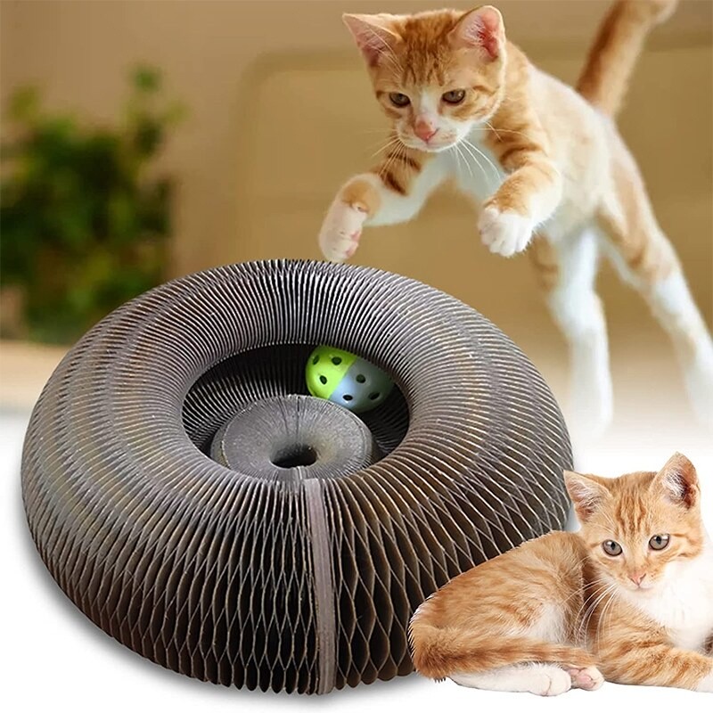 Đồ chơi cào móng ma thuật cho mèo - bàn cào móng ma thuật cho mèo